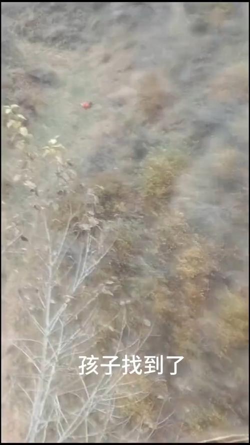 辽宁失联4岁女童已找到