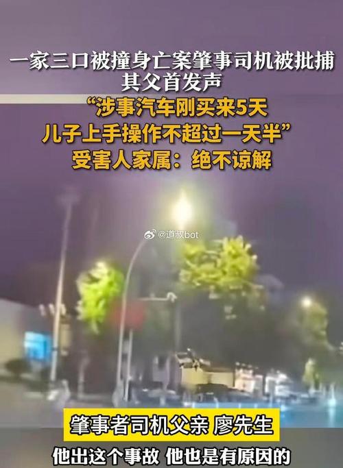 一家三口被撞身亡案家属透露新细节