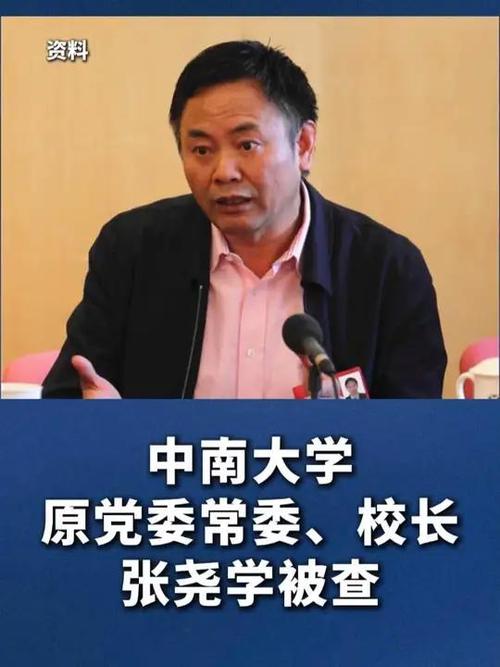 中南大学原校长张尧学被查