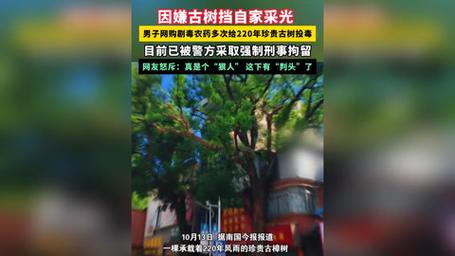男子多次给220年古树投毒被控制