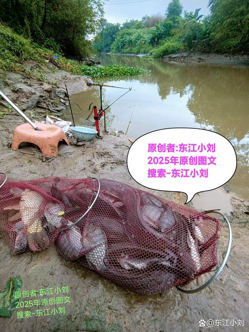 同行者野钓溺亡遭索赔70万被驳