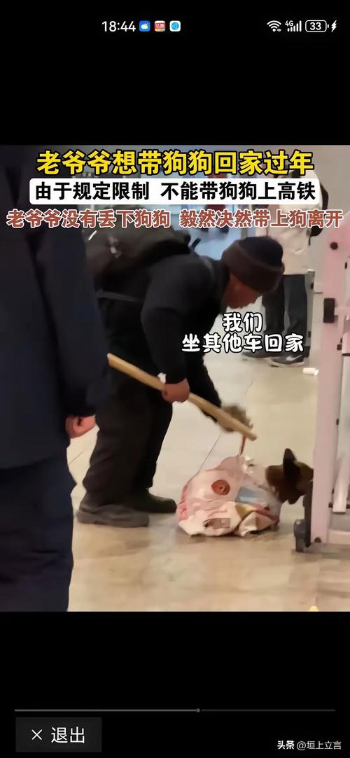 男子收养数十条流浪狗邻居苦不堪言