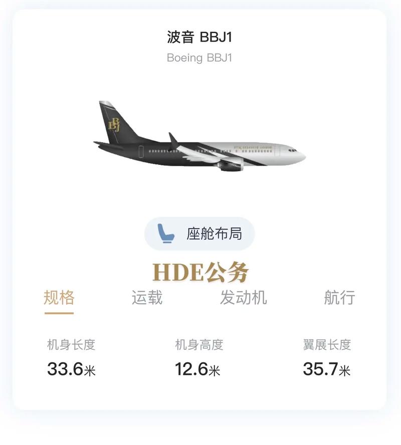 豪华公务机起拍价降至3080万元