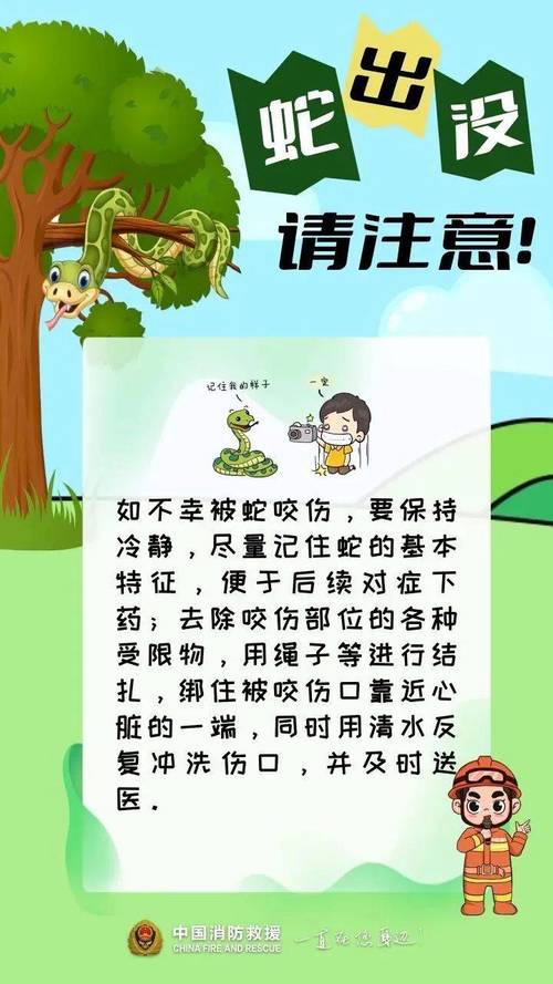 驴友登山发现大量“蛇出没”告示牌