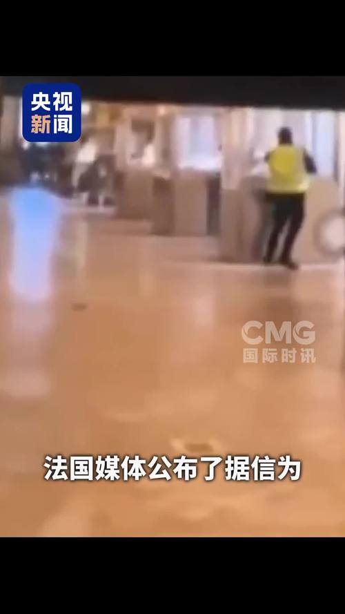 法媒发布窃贼卢浮宫作案视频