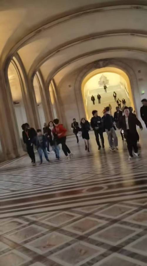 中国游客讲述卢浮宫盗窃案现场