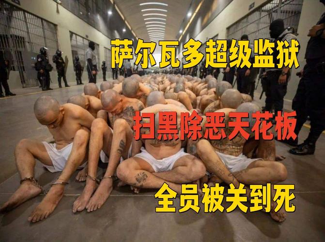 萨科齐将入狱服刑 牢房或有小电视