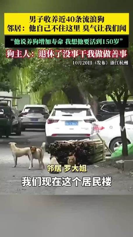 退休大爷把房子让给40条狗住