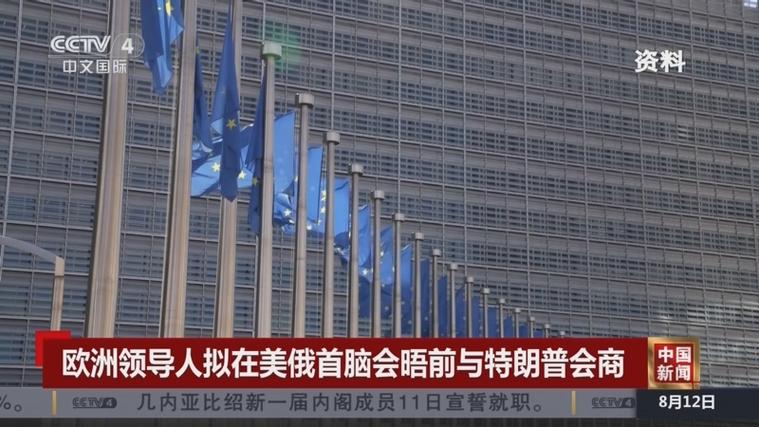 欧洲多国领导人发表联合声明