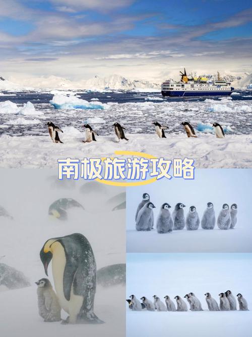 南极旅游价格被打下来了