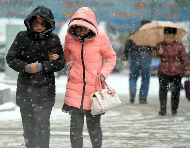 大雨暴雨大雪暴雪 即将上线