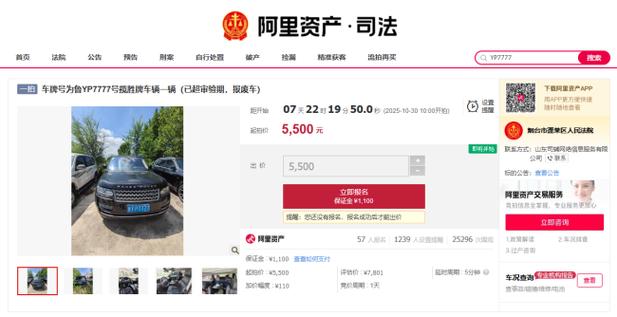 车牌7777报废路虎5500元起拍