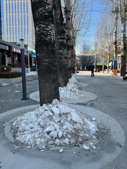 北京多区现零星小雨 山区飘雪