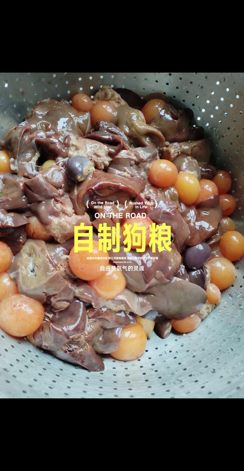 狗粮制作短视频怎么做好看