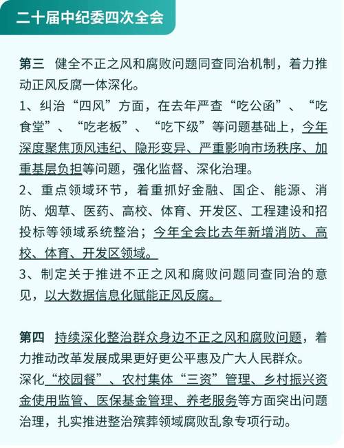 二十届四中全会公报发布