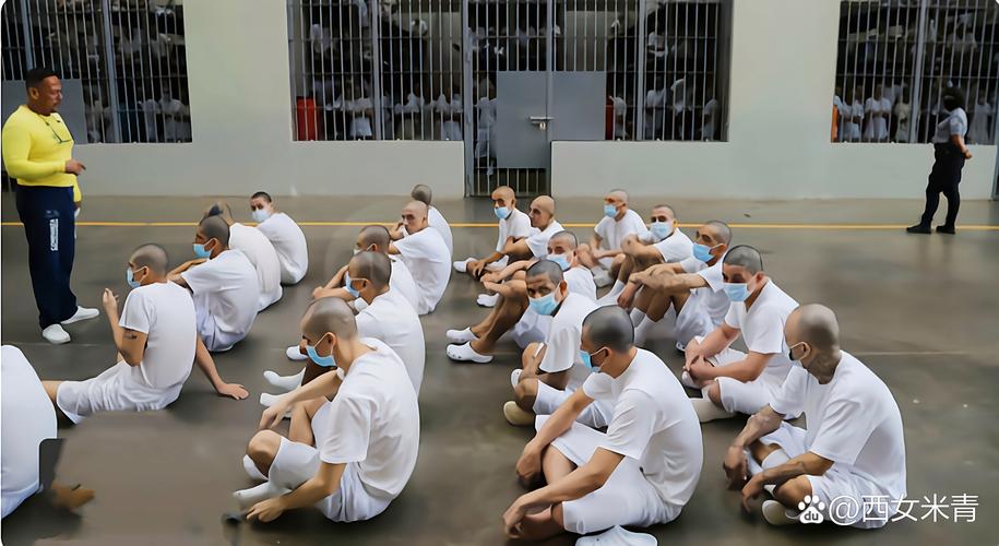 萨科齐服刑监狱曾被批老鼠滋生