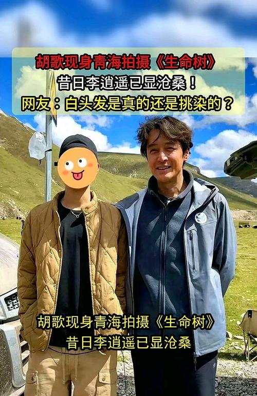 胡歌陈龙现身青海