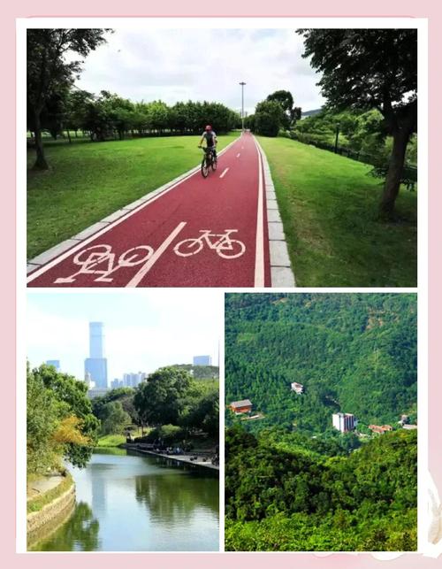 深圳一骑行道地标指引是多级台阶