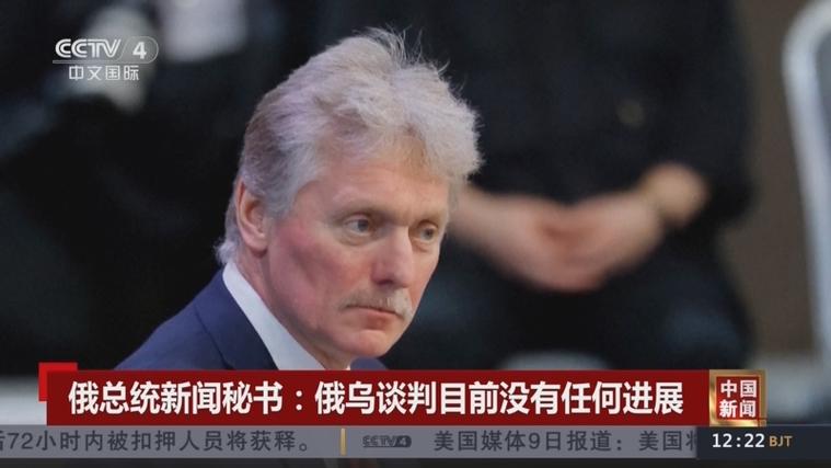 俄总统新闻秘书:俄日双边合作降至零