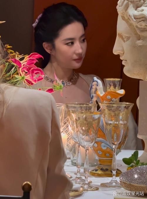 杨幂刘亦菲晚宴坐一桌