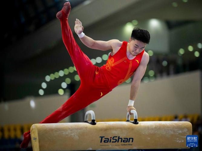 洪延明夺得体操世锦赛男子鞍马冠军