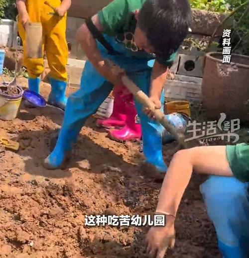 “吃苦幼儿园”为何能走红
