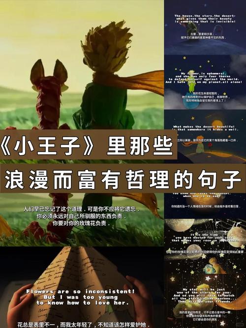 短视频制作小王子怎么弄