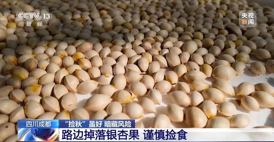 “捡秋”有风险 尝鲜需谨慎