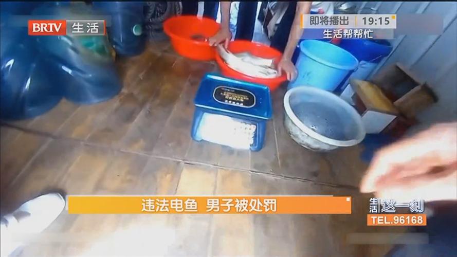 男子下河电鱼致人触电身亡 获刑一年