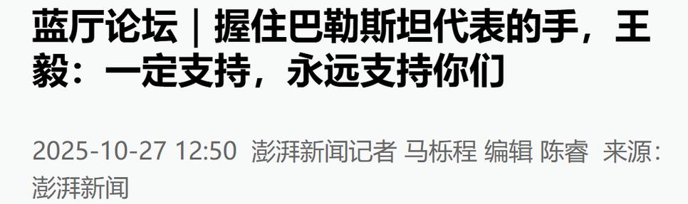 王毅对巴勒斯坦代表说永远支持你们