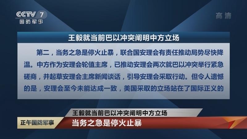 王毅对巴勒斯坦代表说永远支持你们