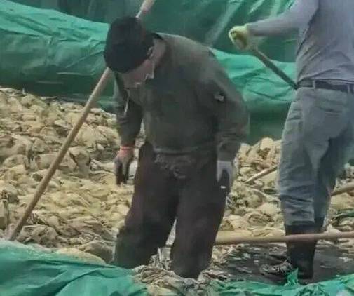 辽宁通报“男子在酸菜池抽烟吐痰”