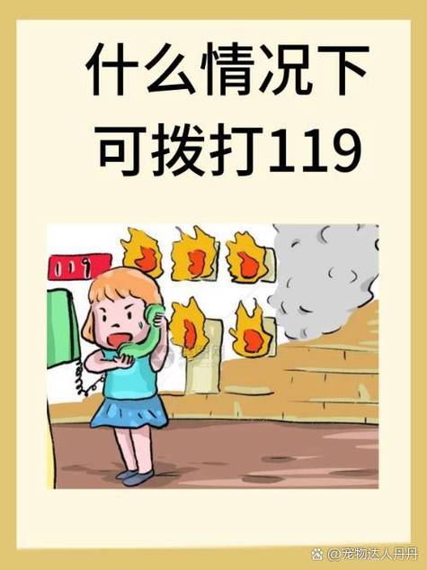 119救了110和119
