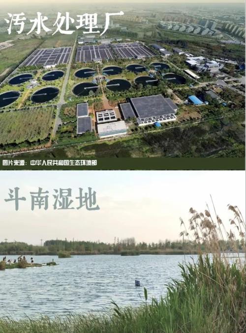 昆明滇池部分水域变绿 管理局回应