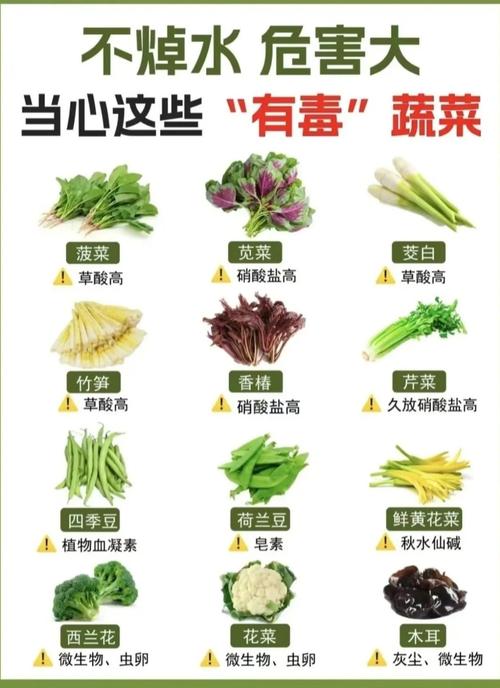 这6类必须焯水的食物要知道