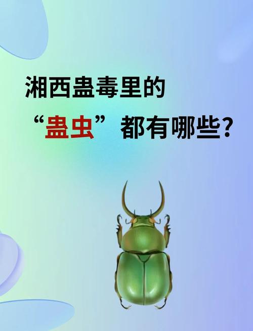制作蛊虫短视频怎么做的