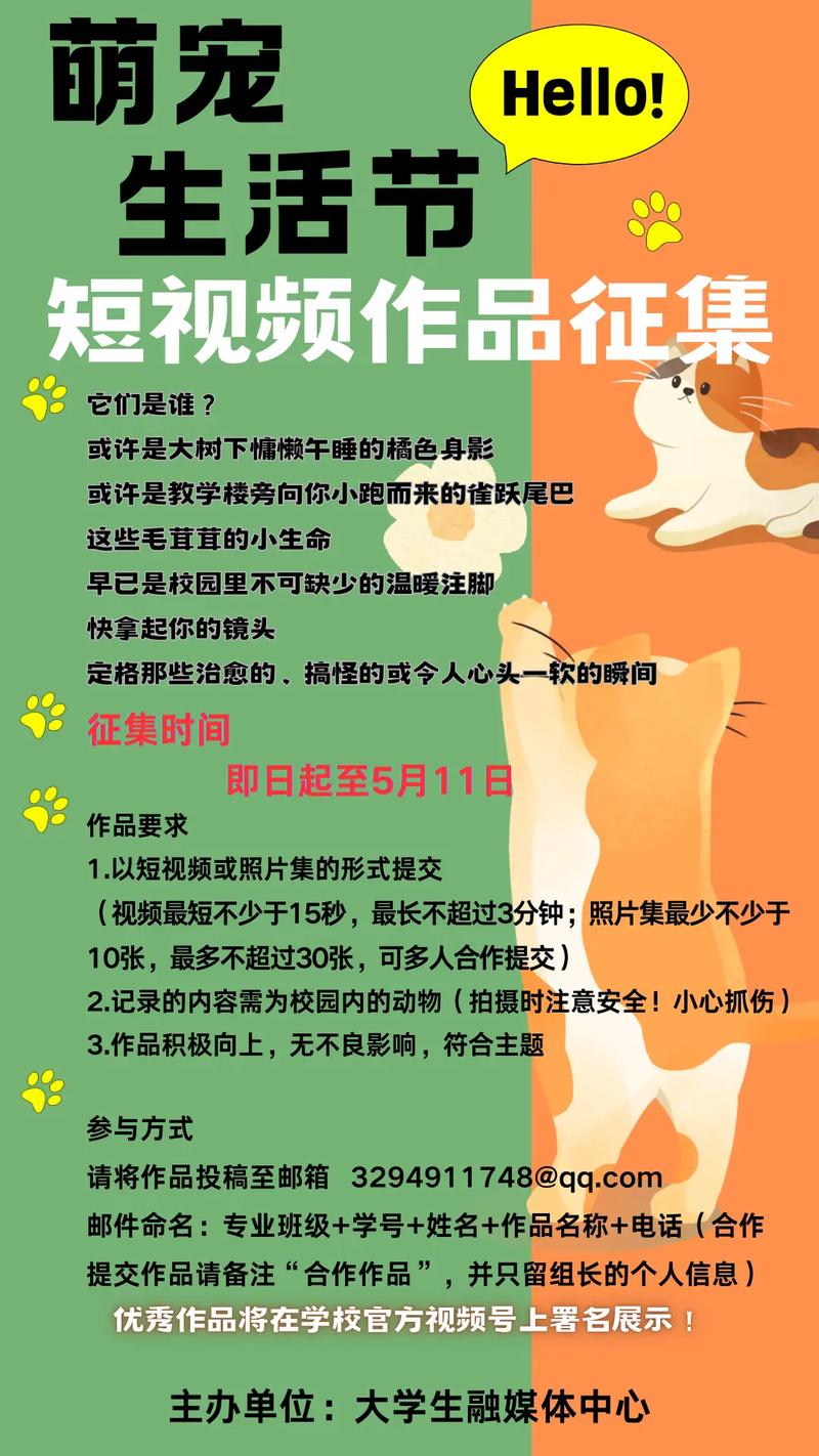 制作萌宠短视频怎么做好看