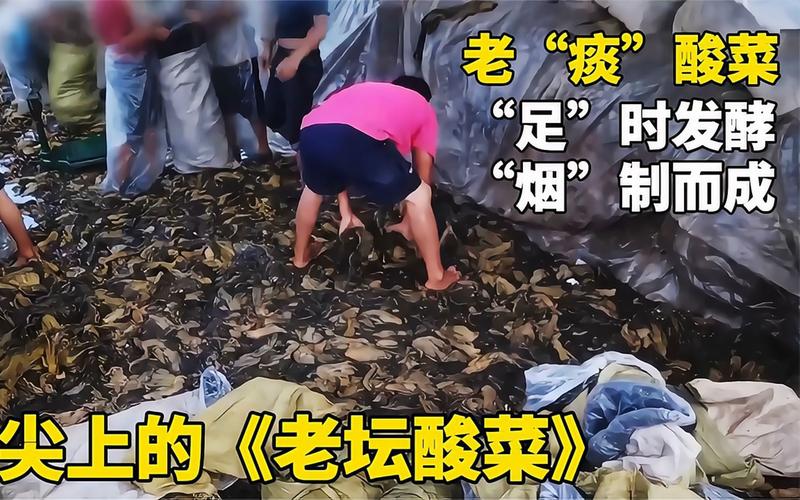 还有多少“老痰酸菜”流入了市场