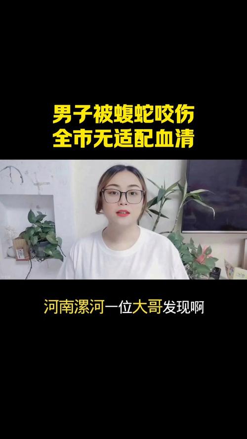 被毒蛇咬伤失联男子最新消息:人没事