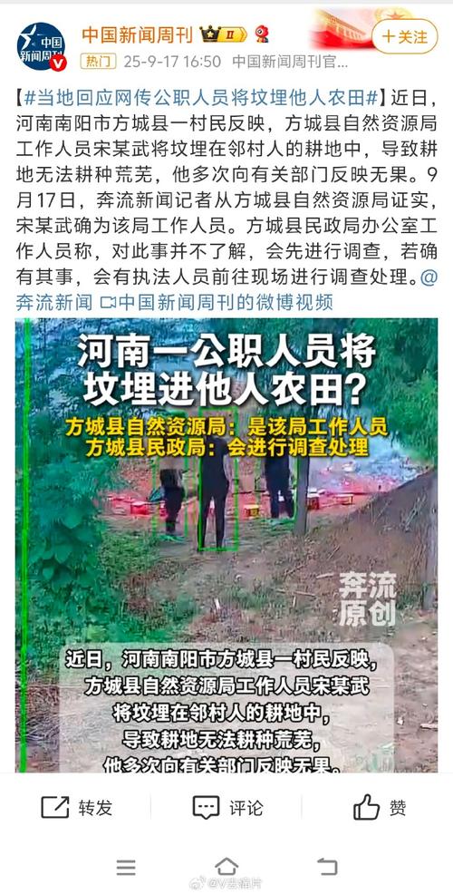 河南南阳雪降农田系谣言