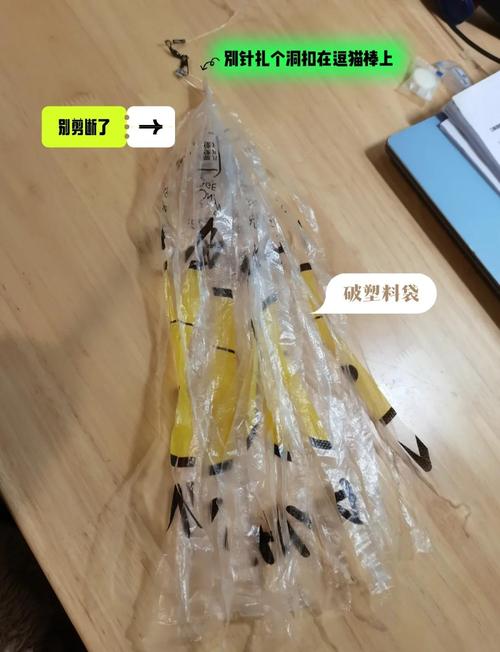 制作萌宠短视频怎么做教程