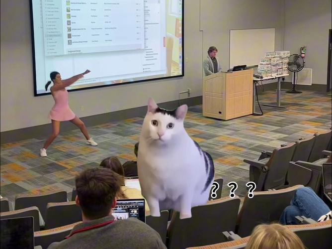 短视频小动物夸张表情怎么制作