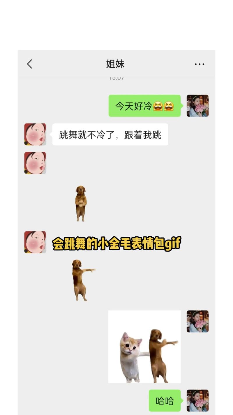 短视频小动物夸张表情怎么制作