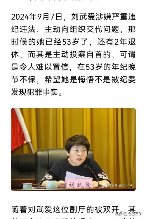 落马女副厅被逮捕 外号“田哥艳姐”