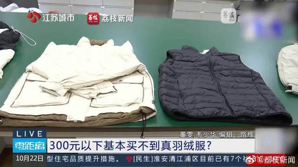 300元以下难买真羽绒服？记者调查