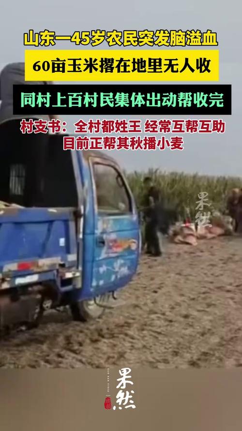 农民突发脑溢血 上百村民帮忙收玉米