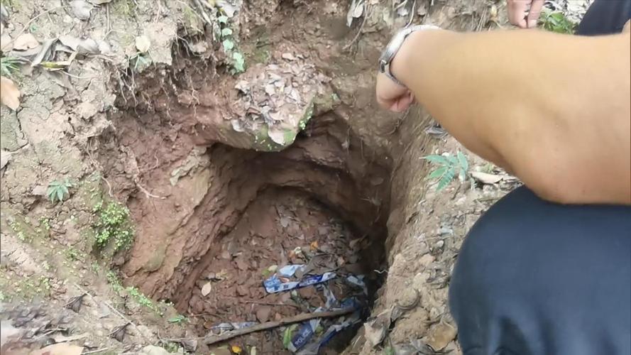 四川乐山大佛街道一工地挖出古墓