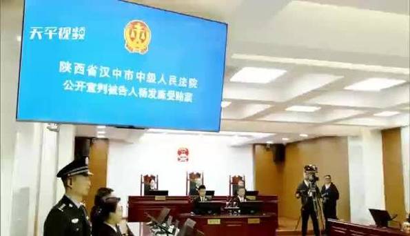 受贿1.47亿余元 杨发森被判无期