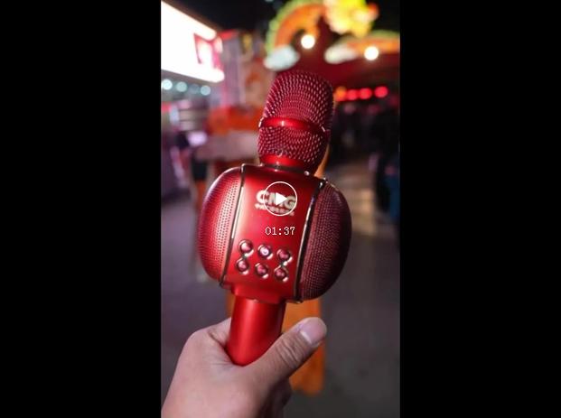 德学者和记者撞款:你的麦克风我也有