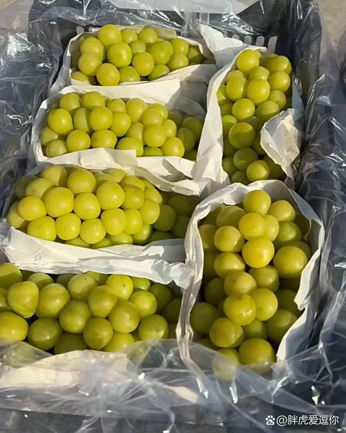 阳光玫瑰贴上这个标签后涨价数倍